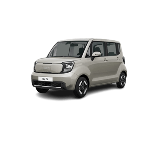 더 레이 EV